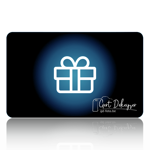 pw-gift-card2